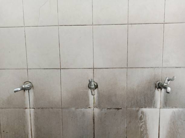Best 24/7 water damage repair  in Warren, OR