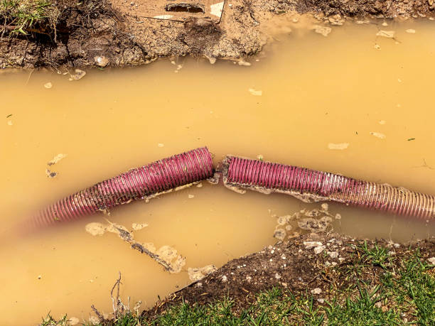 Best Water damage restoration near me  in Warren, OR