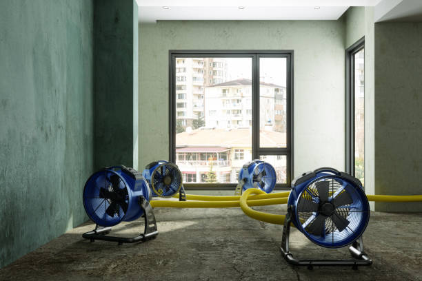 Best Basement water damage restoration  in Warren, OR