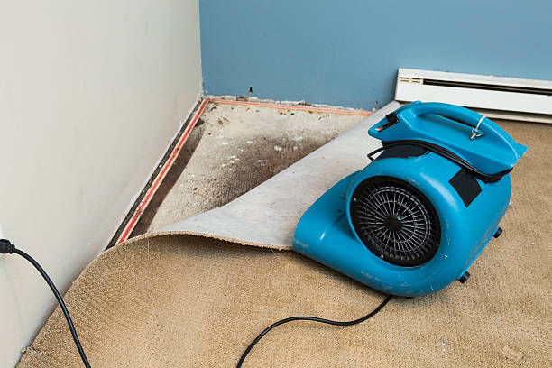 Best Professional water damage repair  in Warren, OR